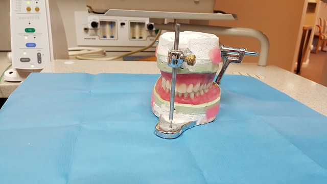 Dental model